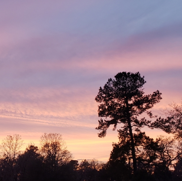 Meet your Posher, Whispering - Picture 8 of 8